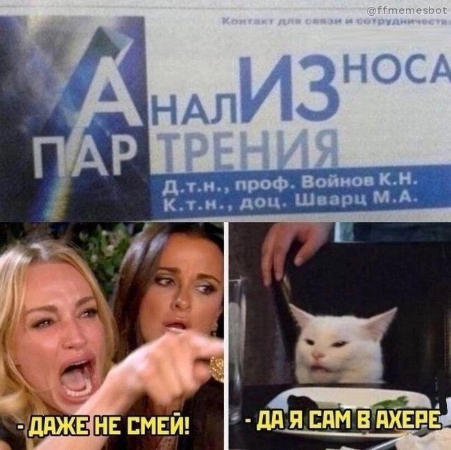 r0mko's tweet photo. почему так смешно помогите https://t.co/dBU5TDbTll