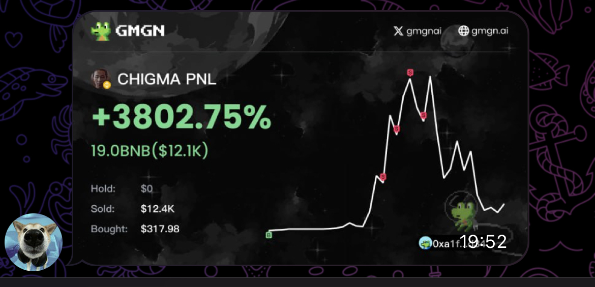 DiCooks🔰 tweet media