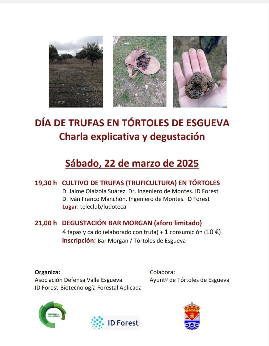 Mañana, a aprender de lo que esconde nuestro suelo. TRUFAS