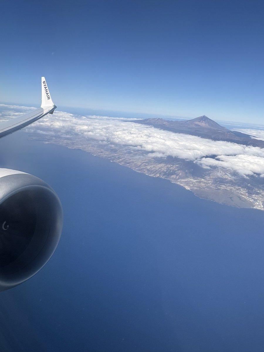 DEAN MANSFIELD tweet media