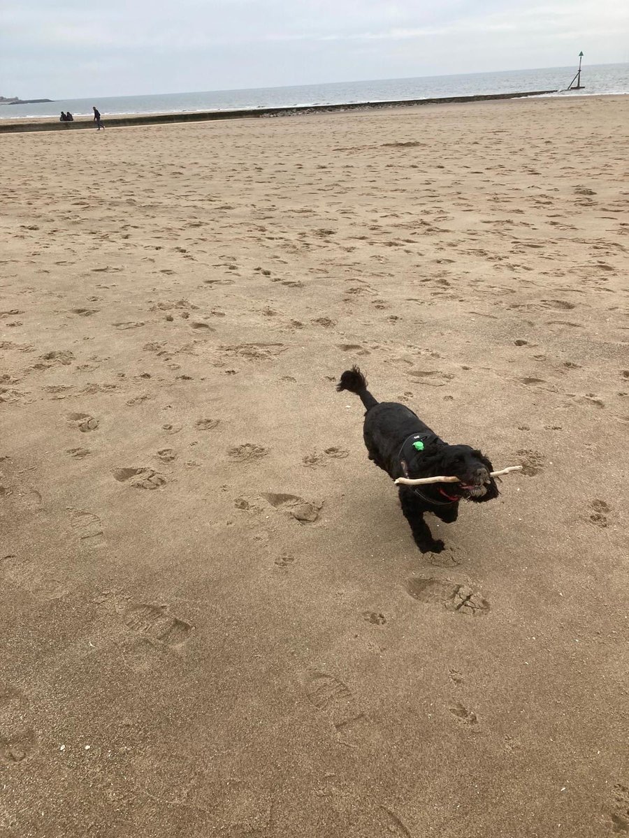 Lyn Eaton tweet media