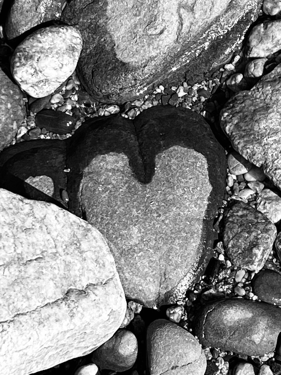 _Parsley_Sage_'s tweet photo. ..and not in troubled waters..
#SeaHeart #sea
#blackandwhitephotography https://t.co/DYdxGW9cwF