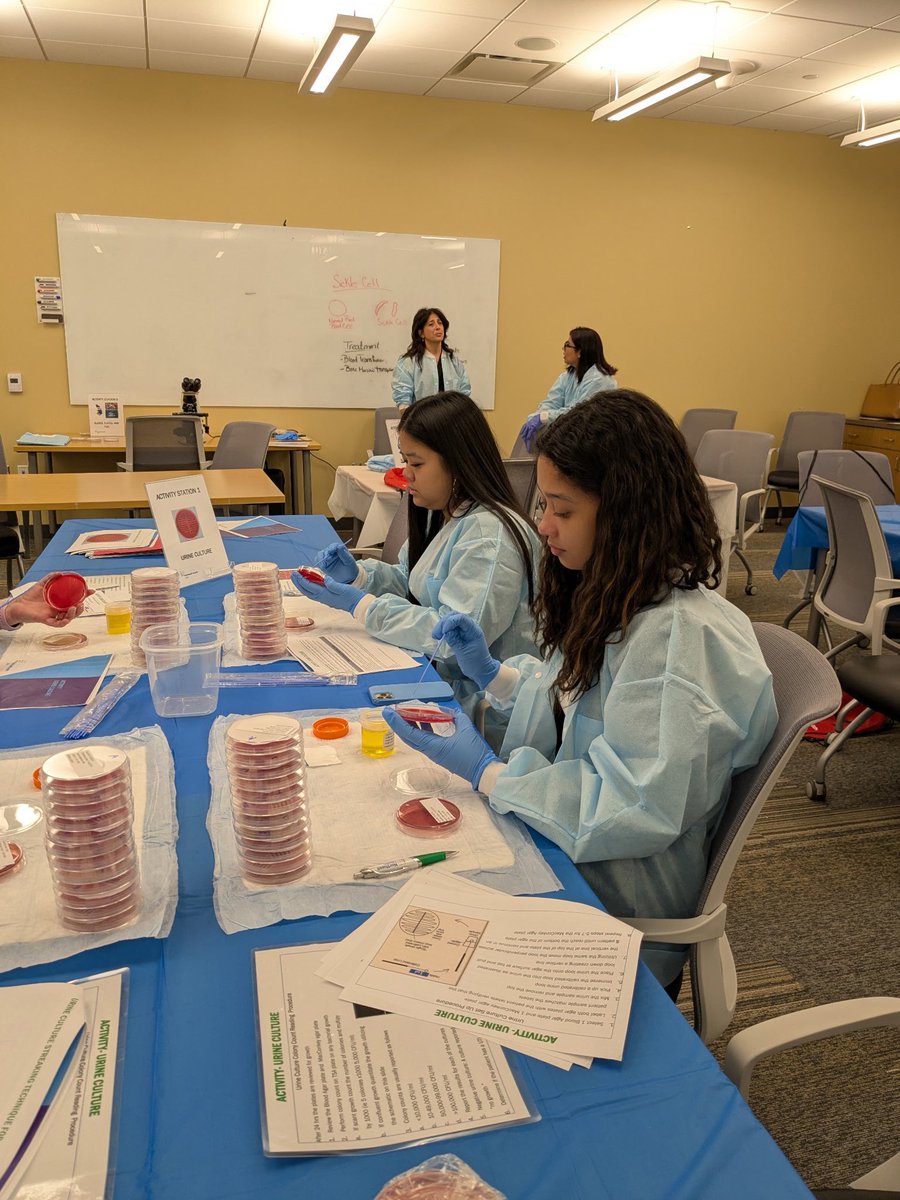 POB_STEAM tweet media