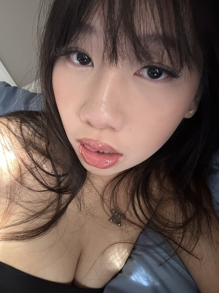 ≽^• ˕ • ྀི≼