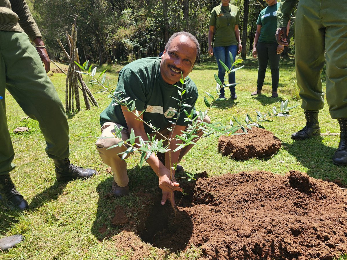 Daniel Kobei (@kobskobei) on Twitter photo Today , trees are also Food, we couldn't skip the International Forest day <a href="/ajws/">American Jewish World Service (AJWS)</a> <a href="/IWGIA/">IWGIA</a> <a href="/OgiekPeoples/">Ogiek Peoples' Dev. Program (OPDP)</a> <a href="/CLAN_Kenya/">Community Land Action Now! (CLAN!)</a> <a href="/AJEnglish/">Al Jazeera English</a> <a href="/KTNNewsKE/">KTN News</a> <a href="/RightsResources/">RRI - Rights and Resources Initiative</a> <a href="/ConservationOrg/">Conservation Intl</a> <a href="/IWGIA/">IWGIA</a> <a href="/christensenfund/">The Christensen Fund</a> <a href="/MinorityRights/">Minority Rights Group</a> <a href="/wellcometrust/">Wellcome</a> <a href="/FundAgroecology/">Agroecology Fund</a> <a href="/fsc_if/">FSC Indigenous Foundation</a> Today , trees are also Food, we couldn't skip the International Forest day <a href="/ajws/">American Jewish World Service (AJWS)</a> <a href="/IWGIA/">IWGIA</a> <a href="/OgiekPeoples/">Ogiek Peoples' Dev. Program (OPDP)</a> <a href="/CLAN_Kenya/">Community Land Action Now! (CLAN!)</a> <a href="/AJEnglish/">Al Jazeera English</a> <a href="/KTNNewsKE/">KTN News</a> <a href="/RightsResources/">RRI - Rights and Resources Initiative</a> <a href="/ConservationOrg/">Conservation Intl</a> <a href="/IWGIA/">IWGIA</a> <a href="/christensenfund/">The Christensen Fund</a> <a href="/MinorityRights/">Minority Rights Group</a> <a href="/wellcometrust/">Wellcome</a> <a href="/FundAgroecology/">Agroecology Fund</a> <a href="/fsc_if/">FSC Indigenous Foundation</a>