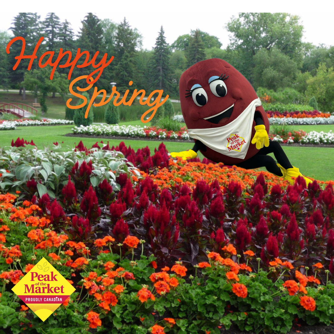 PeakoftheMarket's tweet image. 🌸 Hello, Spring! 🌸

Fresh veggies, sunny days, and a season full of growth—bring it on! ☀️🥕💚

#HelloSpring #FreshForSpring #PeakoftheMarket #EatYourVeggies