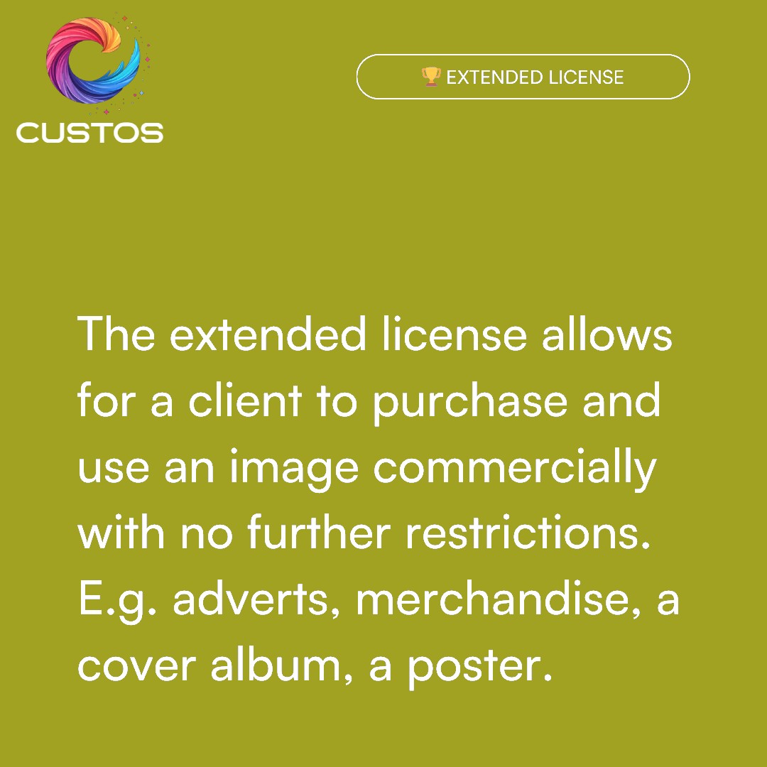 shakira FC tweet media