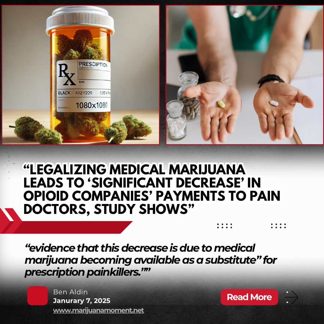 Lemonnade Denver Recreational & Medical Dispensary tweet media