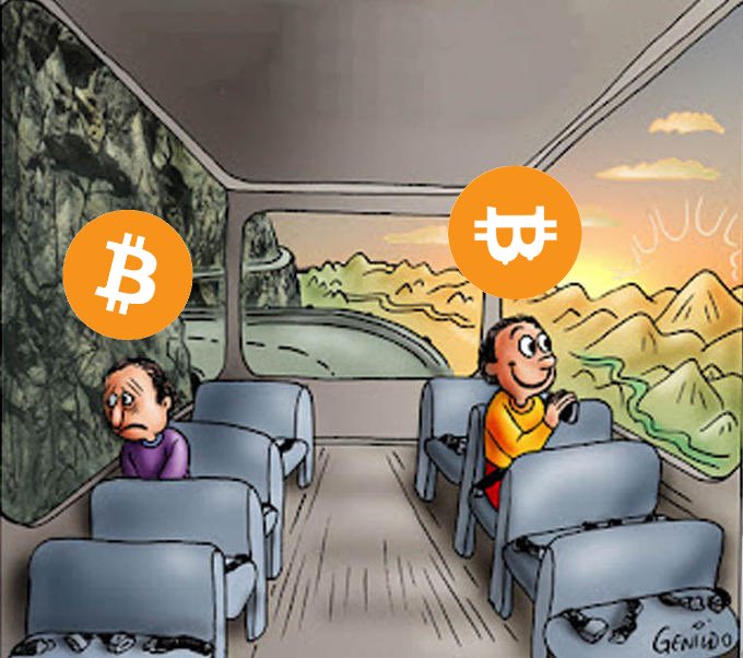 Max Winners tweet media