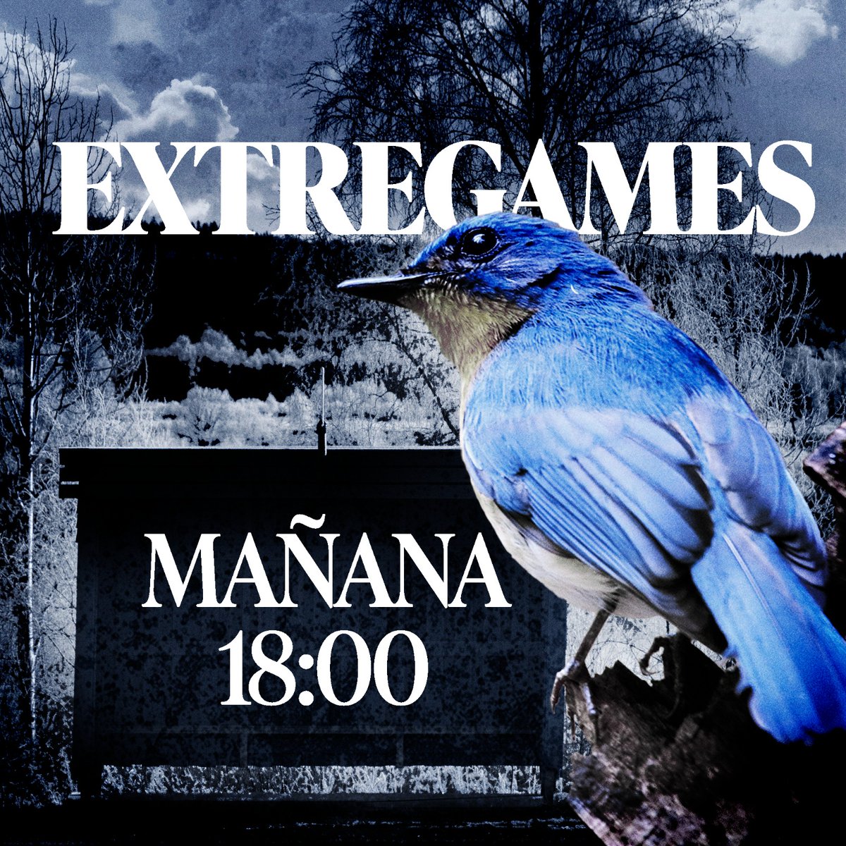 ¡¡MAÑANA DEBUTAN NUESTROS CHAVALES!!
En la parada de <a href="/exg_extregames/">Extregames</a> de <a href="/SomosLaTormenta/">Circuito Tormenta</a>, nuestros 5 azulejos volarán por la Grieta 🗡️🐦

¡Podrás apoyarlos en twitch.tv/AzE_eSports_ ! ¡No te lo pierdas!