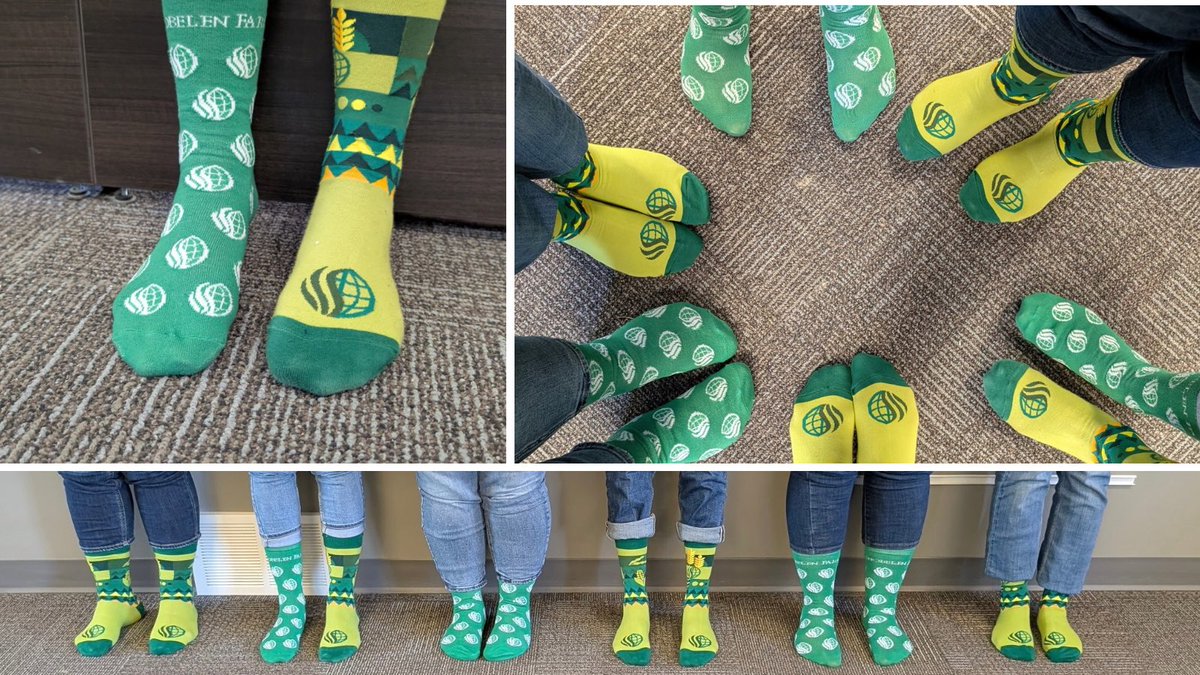 SnobelenGrain's tweet image. Rockin' our socks for World Down Syndrome Day! Join us in celebrating diversity in our communities. 

Show us your Snobelen Farms socks in the comments! 

#WDSD #LotsofSocks