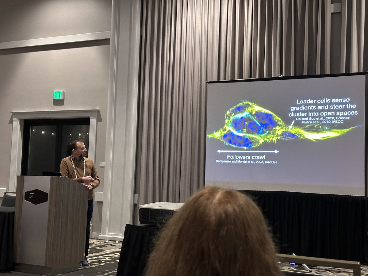 WengFlyLab tweet media