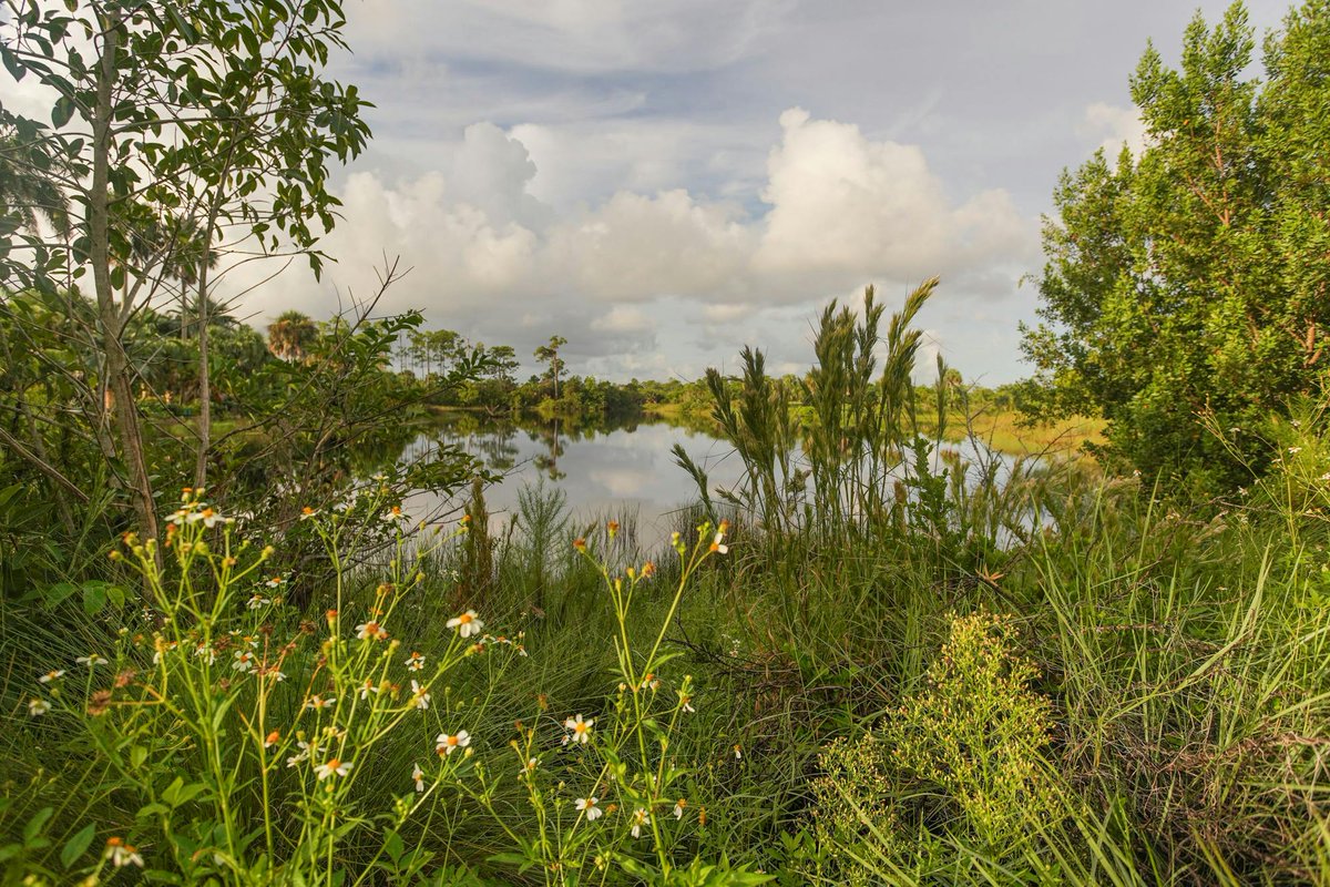 Naples Botanical Garden tweet media