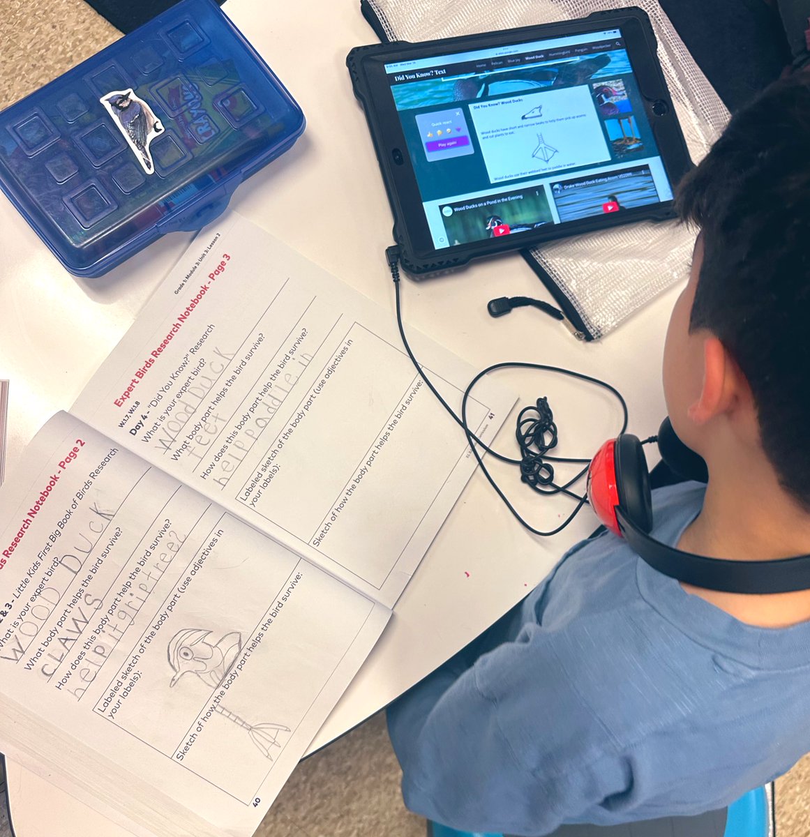 So proud of our first graders for their hard work this week during their <a href="/ELeducation/">EL Education</a> expert bird research! They explored fascinating facts from different resources, asked thoughtful questions, and shared their learning with excitement. <a href="/GutermuthES/">Gutermuth Elementary</a>