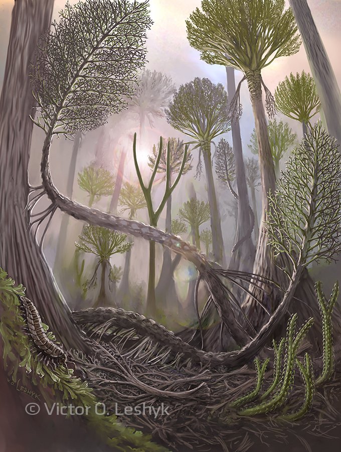On this #InternationalDayofForests I share my #sciart that showcases the amazing habitats made by one thing: trees working together. Here's my illustration of the earliest known fossil forest, the 380 million year old Gilboa forest, preserved as a fossil forest floor: