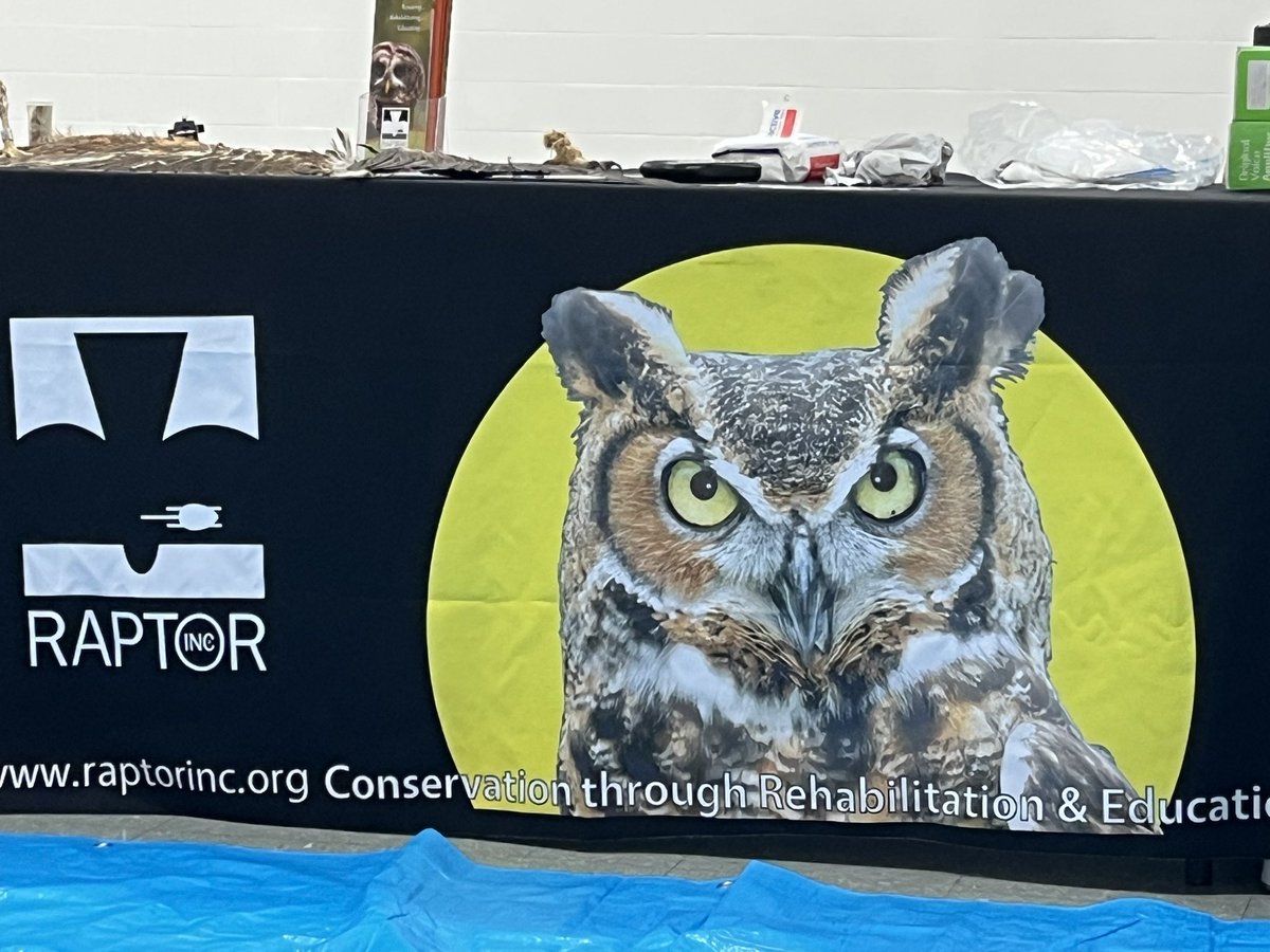 Ovitt in 1st tweet media