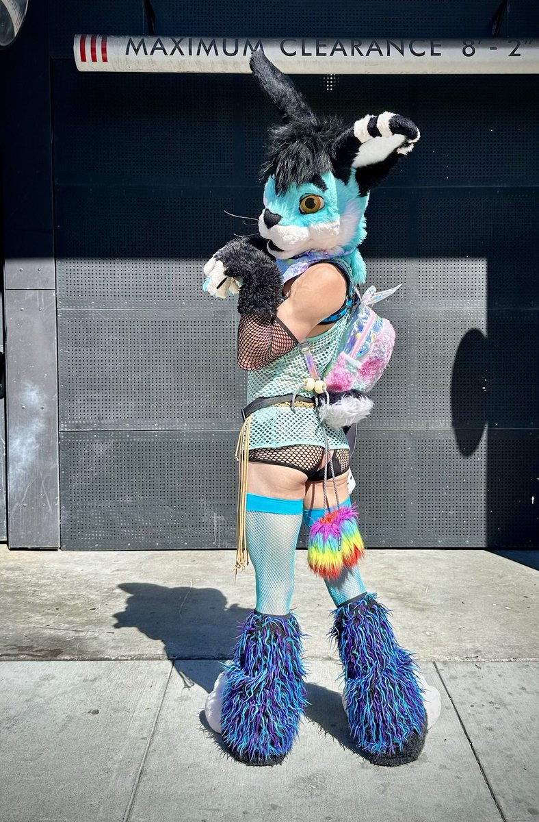 TailTuft 🐰🍑🔞 tweet media