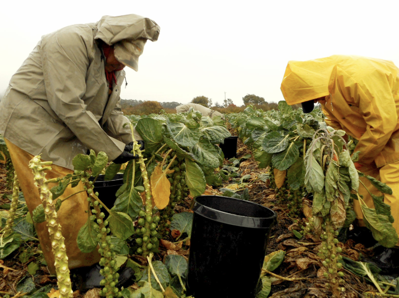 NEWS: County of San Mateo, Supervisor <a href="/Ray_Mueller_/">Ray Mueller</a>'s Office &amp; community partners to kick off “Farmworker Awareness Week” on Monday, March 24 with events, a proclamation, film screening &amp; more. Read the full news release here ⬇️ smcgov.org/ceo/news/celeb…