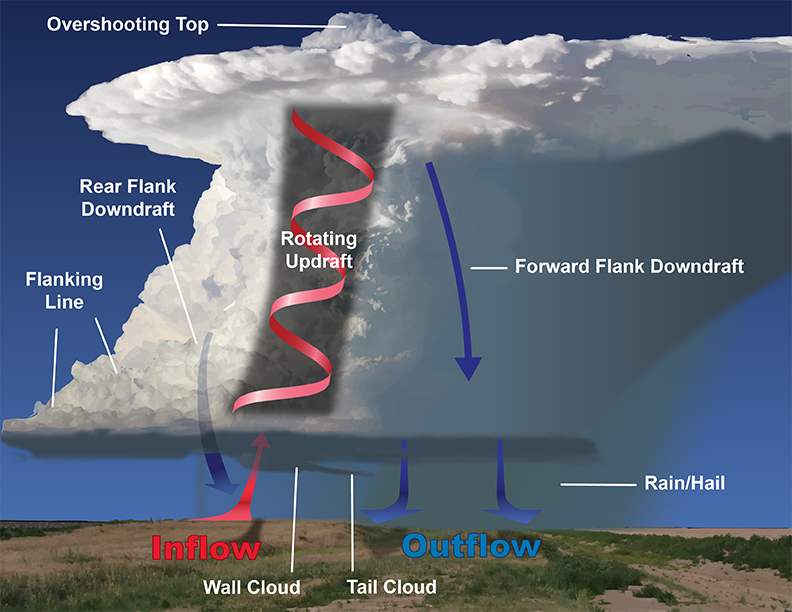An idealized cross section of a mature supercell with some major features and wind flow patterns. Except for the rotating updraft (the definition of a supercell) not all of these features are necessarily present or visible in every storm. Photo credit: NOAA National Weather Service.