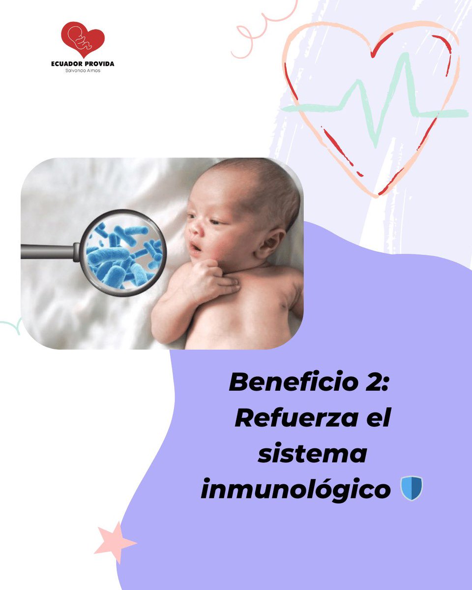 Ecuador Provida tweet media