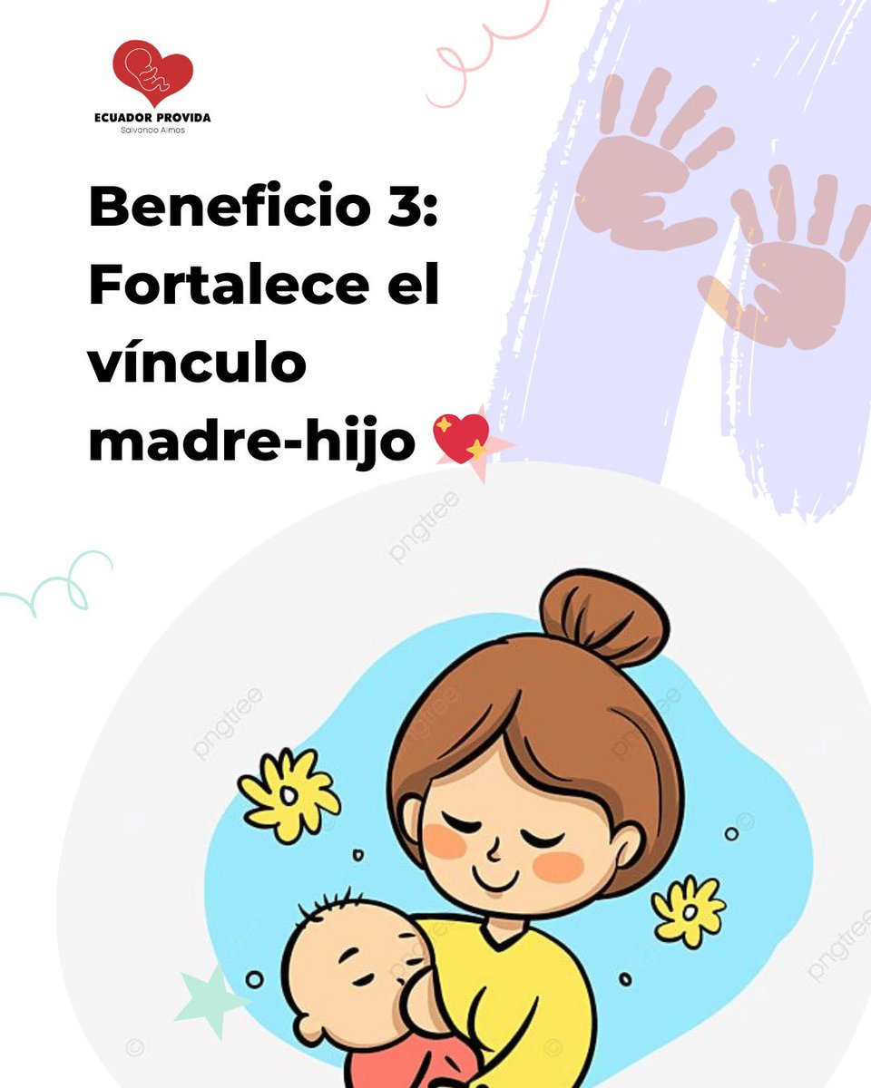 Ecuador Provida tweet media