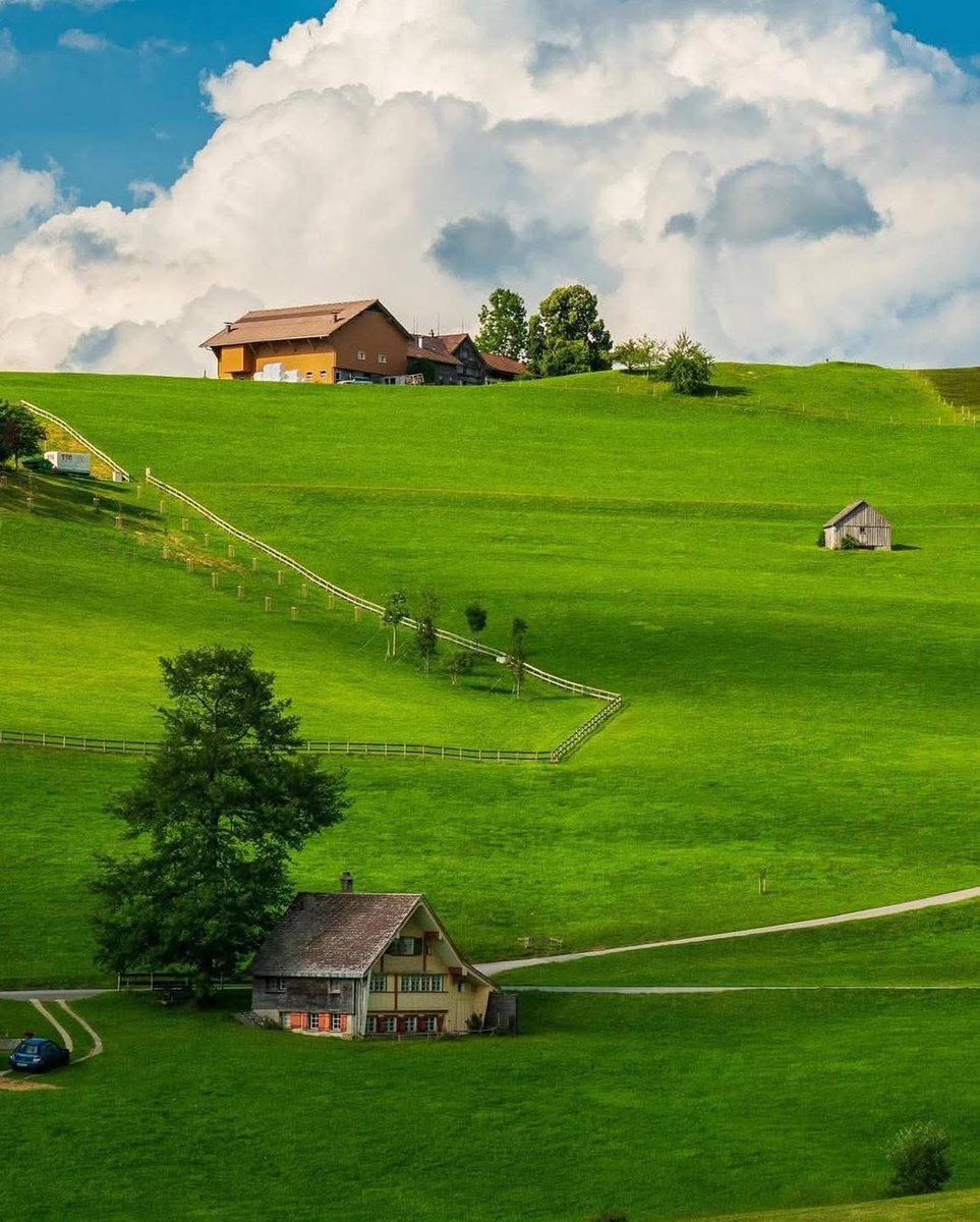 Naturelife807's tweet photo. Switzerland 🇨🇭 https://t.co/LCagNsgvwQ