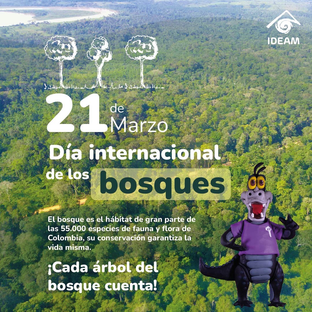 mr_forestal's tweet photo. Hoy 21 de marzo celebramos los bosques. ¡Cada arbol del bosque cuenta! @CorazonAmazonia @IDEAMColombia @VisionAmazonia @faocolombia @MinAmbienteCo https://t.co/Af7w8jEkr5