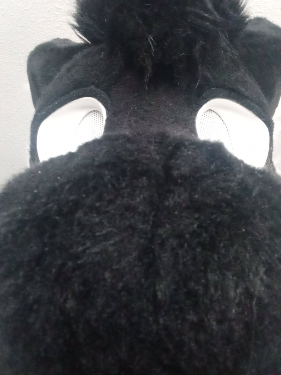 Got any fursuit photos on your phone?  #fursuitfriday