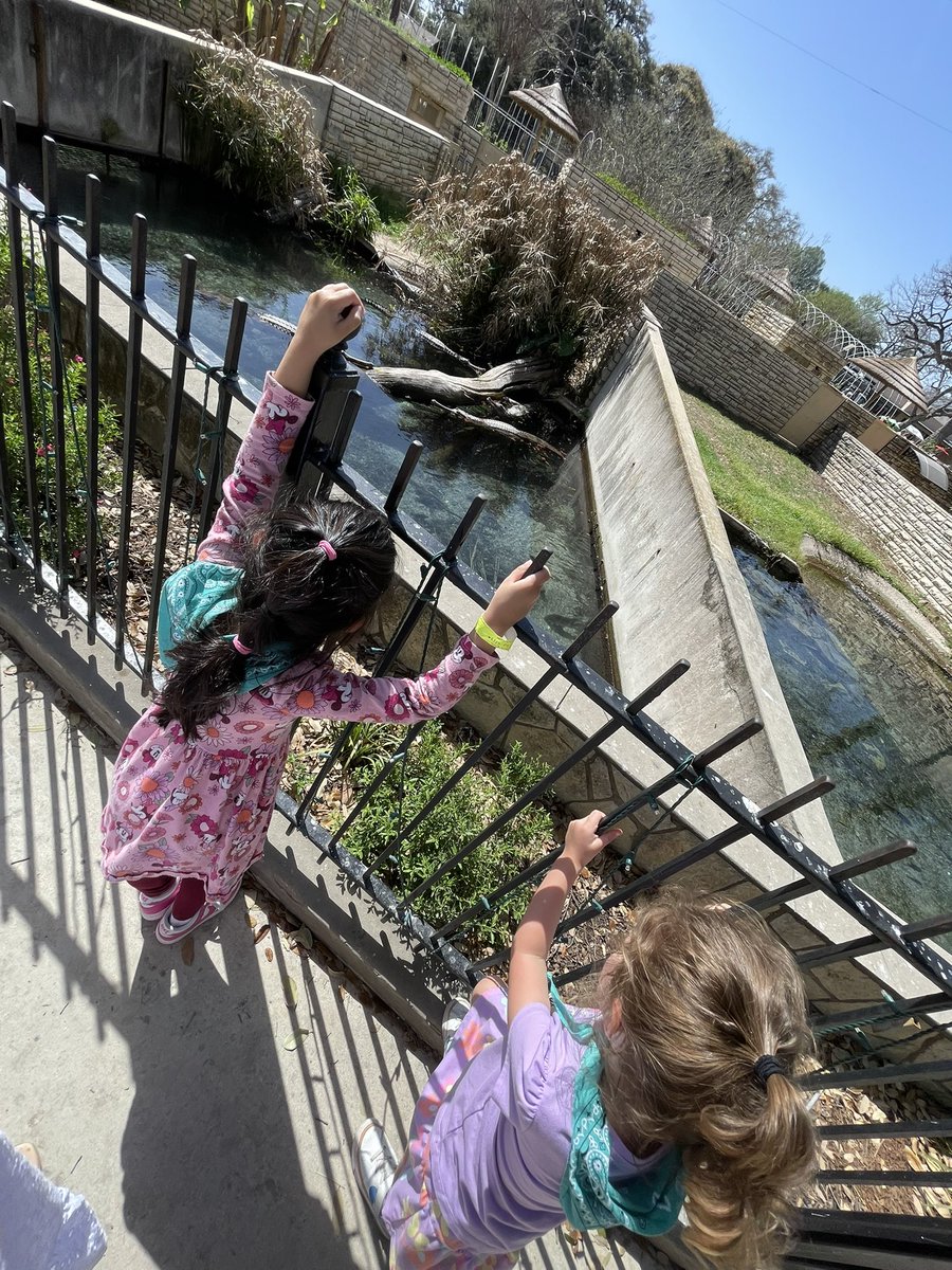 MurninECSE's tweet photo. Our young explorers went wild at the zoo and are now roaring to write about their adventures! 🐒🦍🐻🐯🦁🐘🦛 https://t.co/YFNULMxEnf