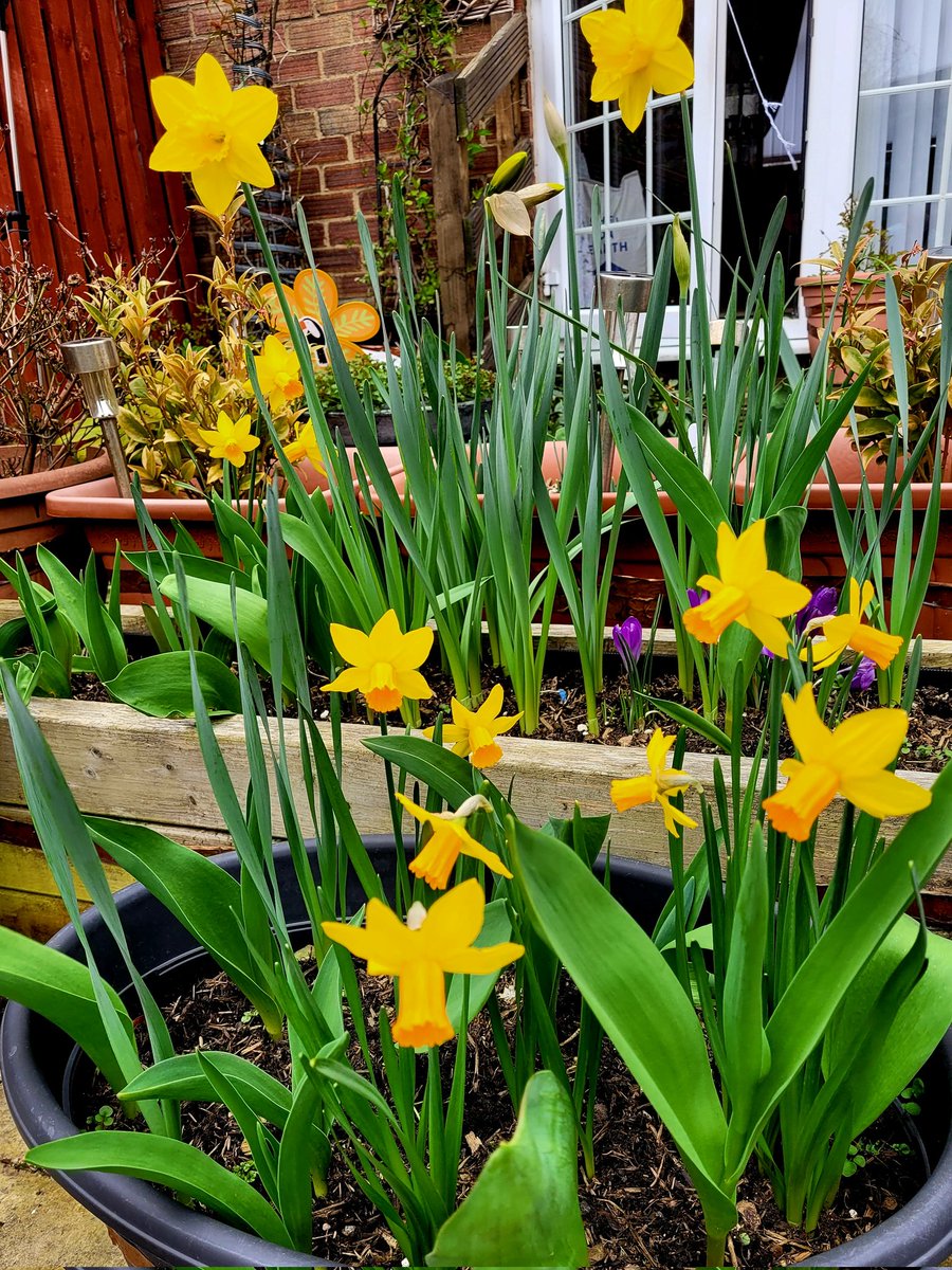 Dr Alexandros Dearges-Chantler. tweet media