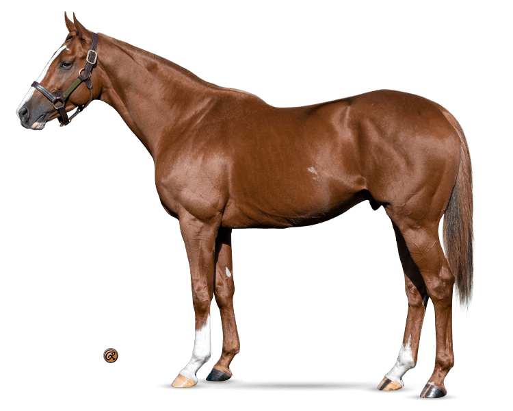 WinStarFarm's tweet image. Two Phil's is speeding up!

Two Phil's is the only horse in the last 5 years to run a sub 6 Ragozin by March of his 3YO year! His versatility and speed set him apart from the rest, he is a horse you don't want to miss!

#DanzigSpeed #2Phils #2Fast