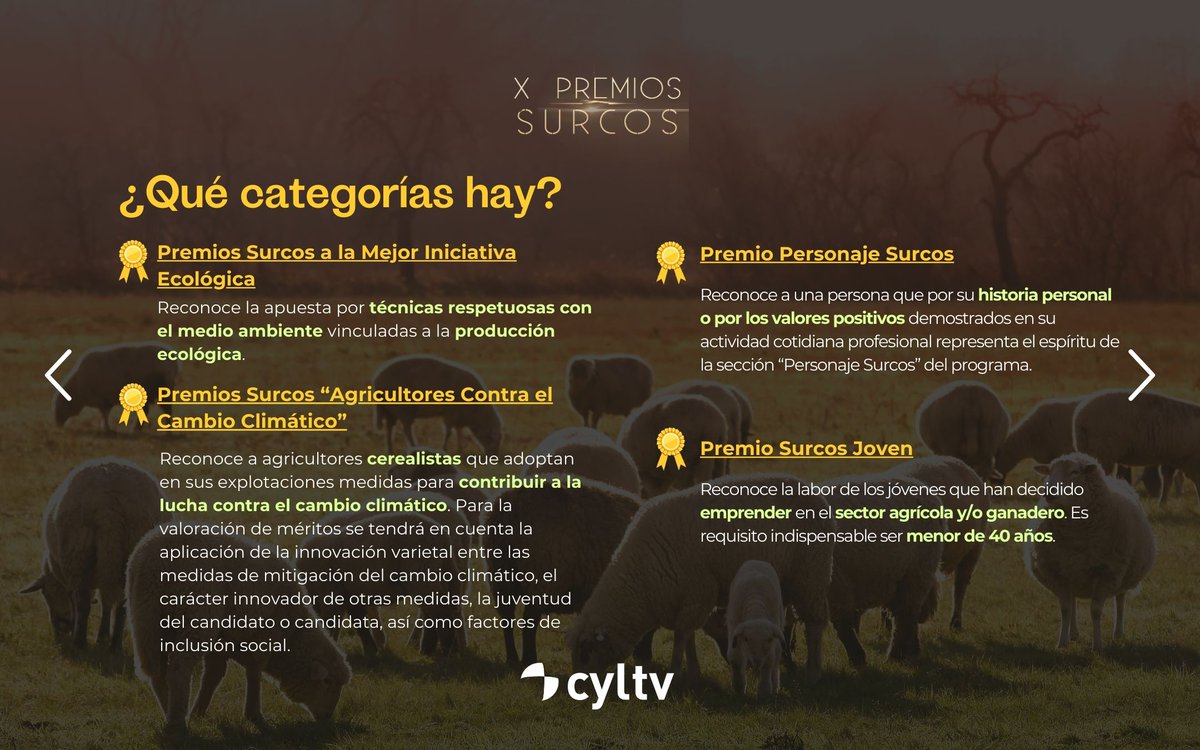 📢 Vuelven los Premios Surcos: los 'Óscar del Campo' 🌾🏆

🚜💡 Un reconocimiento a quienes trabajan cada día para innovar y mejorar el sector agrícola y ganadero en Castilla y León. 

👨‍🌾 Si eres un profesional, empresa o institución del sector, esta es tu oportunidad para