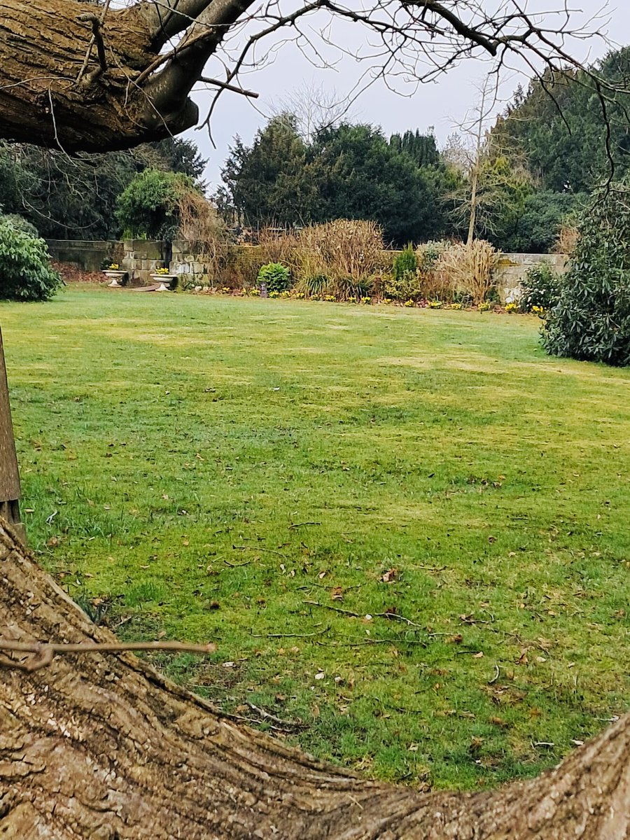 Another lovely Spring day in the gardens today🌸☀️

#bishtonhallandgardens #springtime