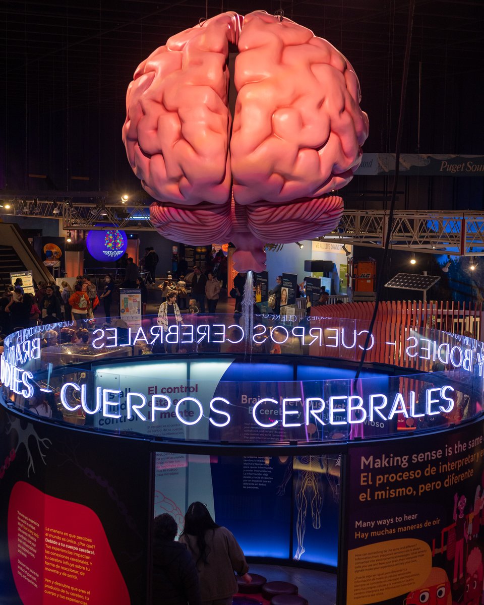 BRaIN Lab tweet media