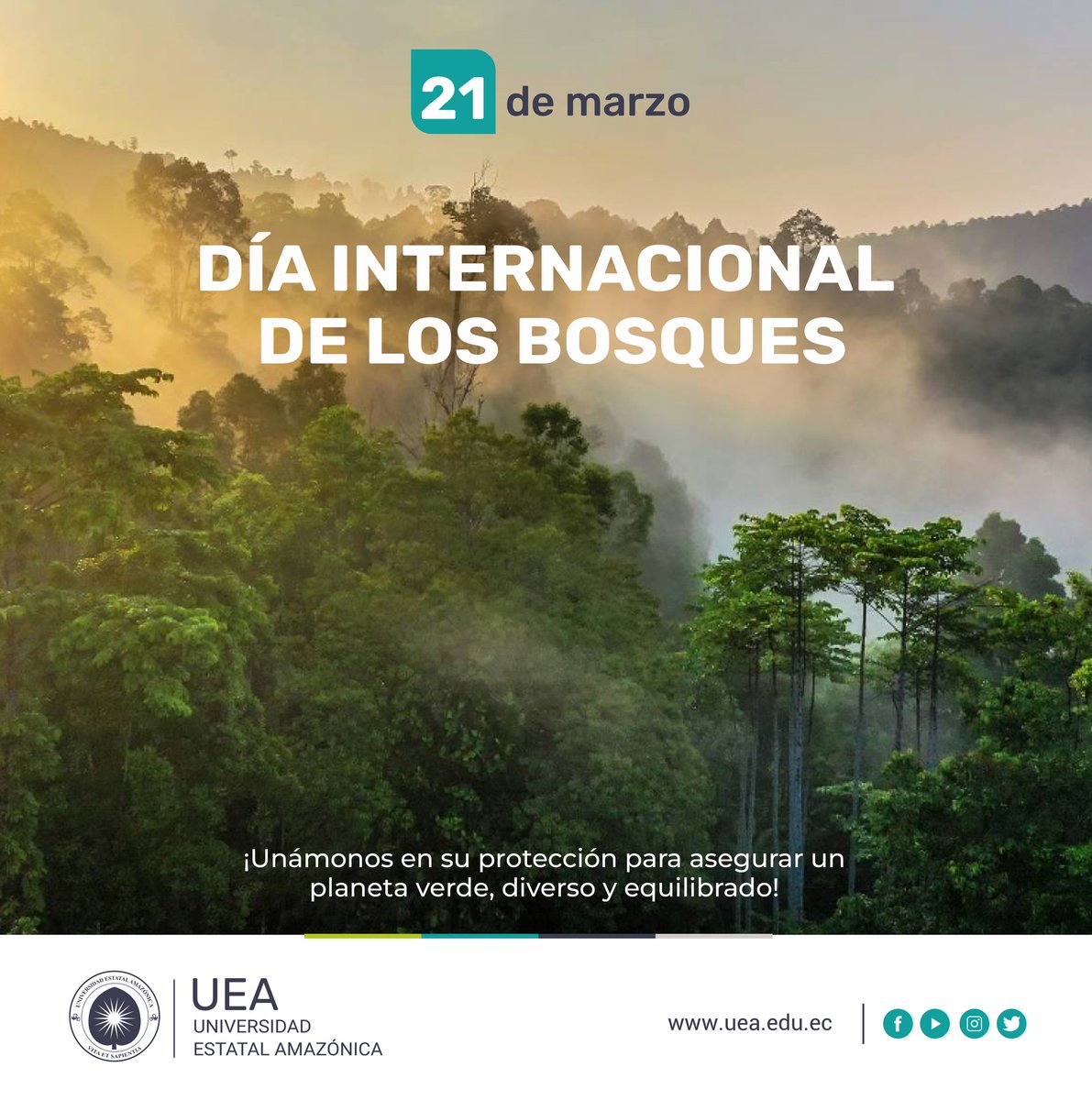Hoy celebramos el Día Internacional de los Bosques, un recordatorio de la importancia de preservar nuestros ecosistemas. Los bosques son vitales para la vida, el aire que respiramos y el equilibrio de nuestro planeta.

¡Cuidemos juntos nuestro hogar!

#UEAesExcelencia 📷