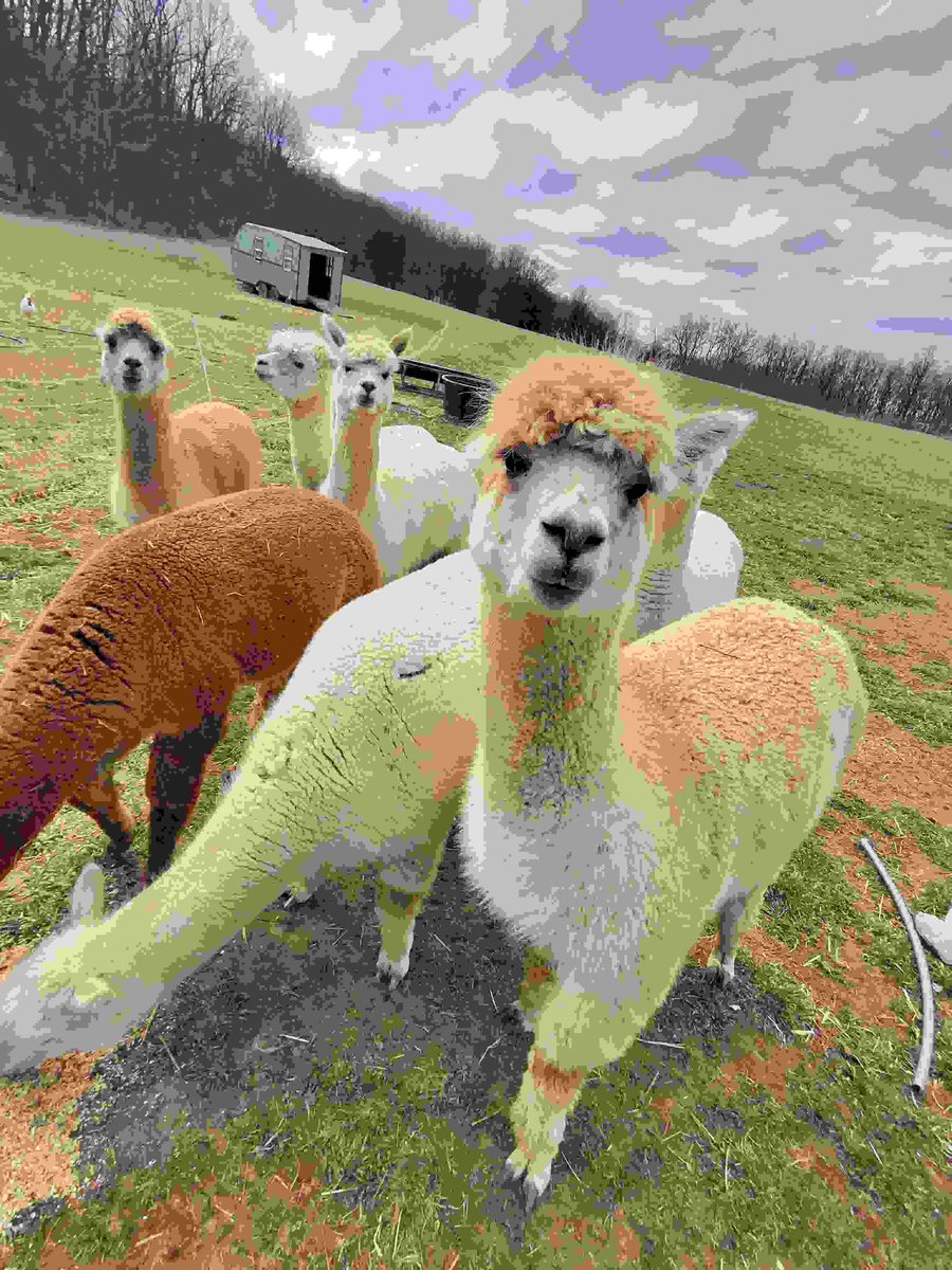 XWAVEart's tweet image. pushed some updates to my Xlitch Art App, new effects and improved UI experience 

check it out in link below