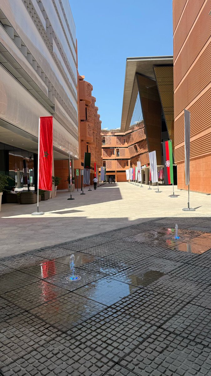 Embamex Emiratos Árabes Unidos tweet media