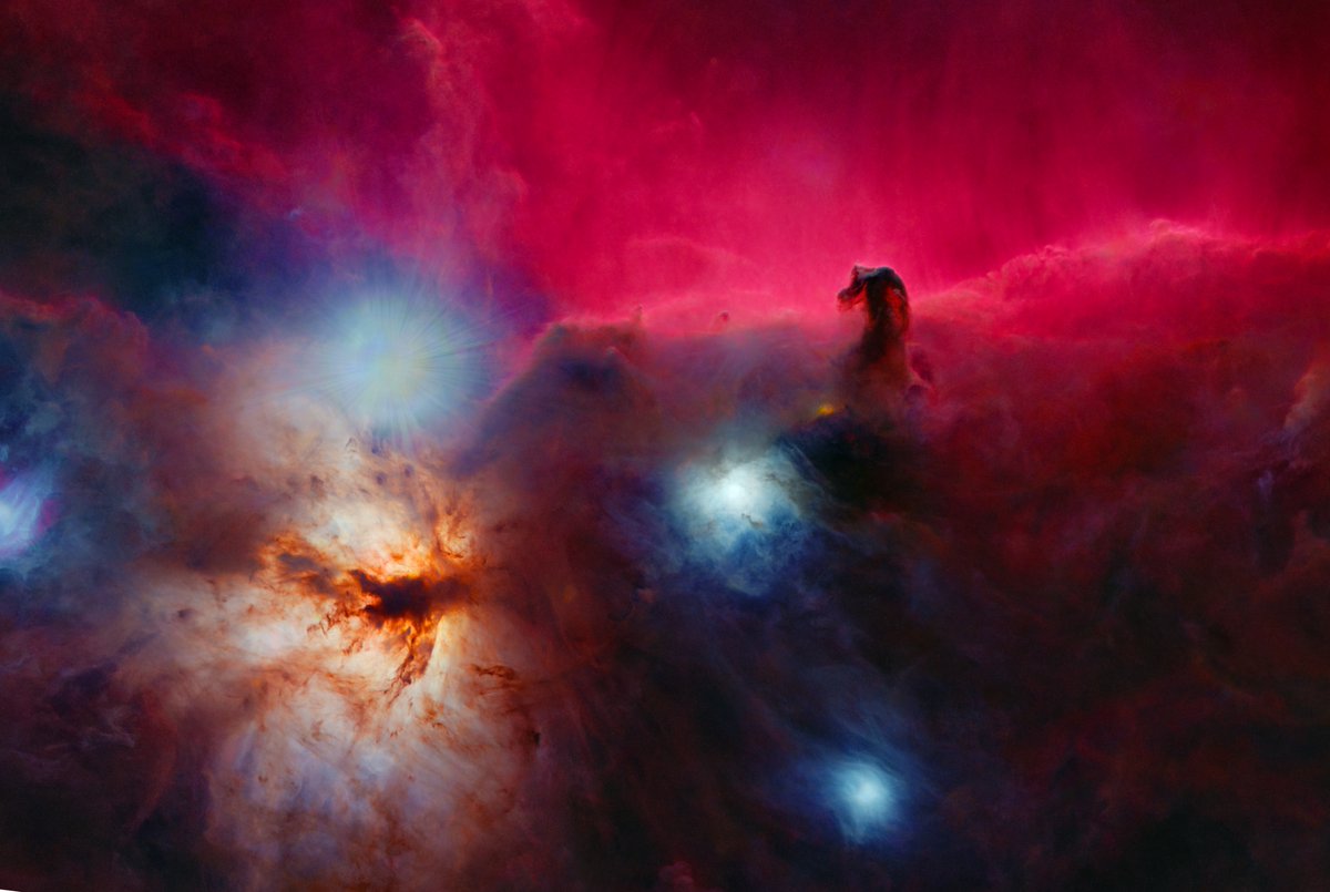 The Horsehead and Flame Nebulae captured with my backyard telescope. 🔭