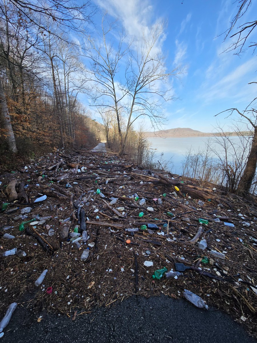 Daniel Boone NF tweet media