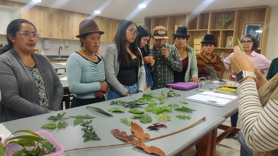 IniciativAndina's tweet photo. 🌿✨ Ciencia, arte y tradición: nos preparamos para el #DíaInternacionalDeLaIlustraciónBotánica 

Junto a la @USFQ_Ecuador trabajamos en ilustraciones que muestran cómo las papas nativas, mashuas y otras plantas subutilizadas se adaptan a la sequía y ayudan al cambio climático. https://t.co/TqZgrJIK1E