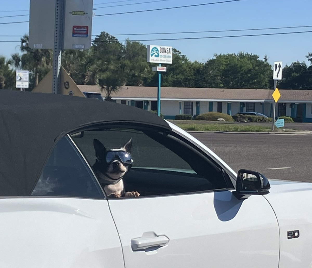 That Friday feeling!
#HollywoodHound