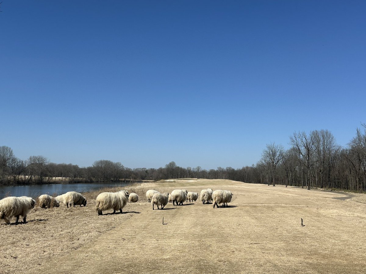 Tyler Ingram tweet media