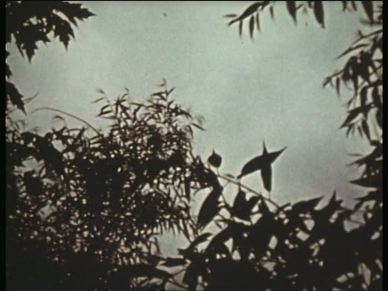 Charmides (1949), Markopoulos