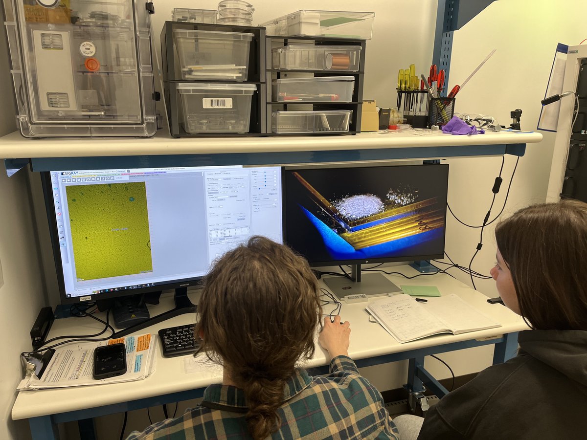 BHS Research tweet media