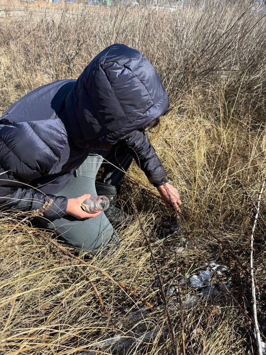 BHS Research tweet media