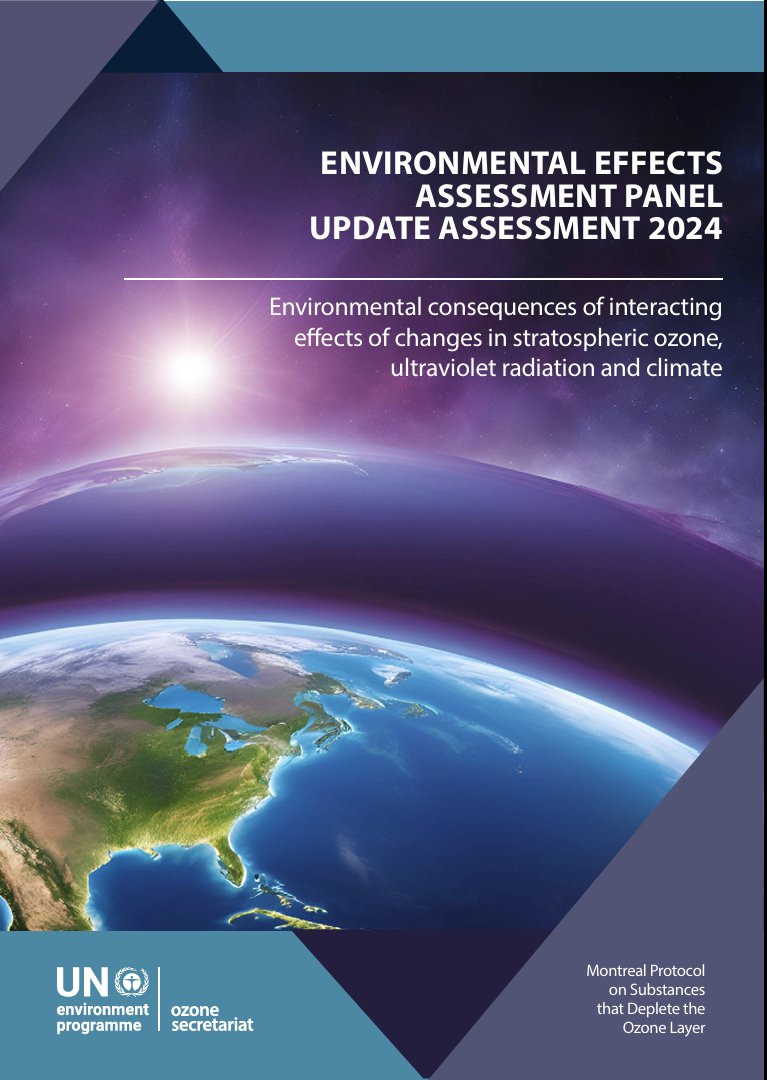 Roy Mackenzie tweet media