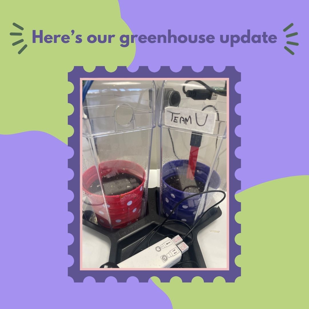 Here’s our greenhouse tomato update! 3 weeks ago, we planted our seeds. After 2 weeks there was little progress with only one germinated seedling. We decided to replant. 7 days later, there are two little sprouts! On Monday, we will begin our saltwater treatment!🌱