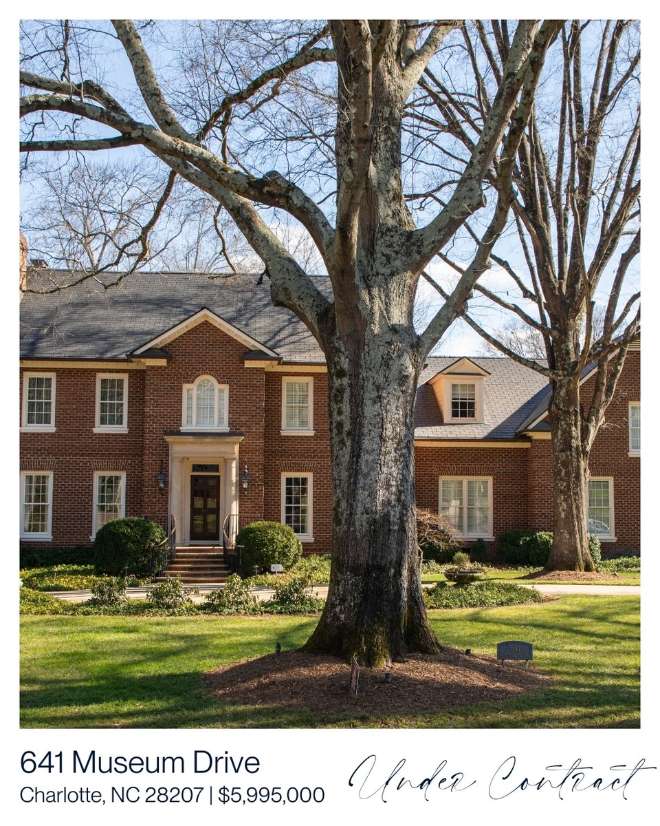 Dickens Mitchener tweet media