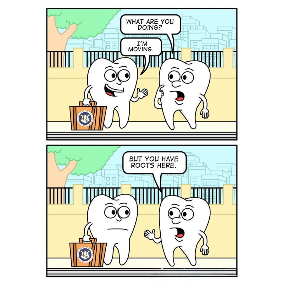 CtStateDental's tweet photo. We're just trying to get to the root of some laughs on this Friday afternoon! #FridayFunny #CSDA https://t.co/MNSD4qPFET