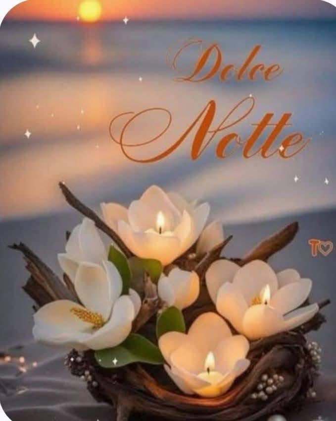 RITABIANCHi56 tweet media